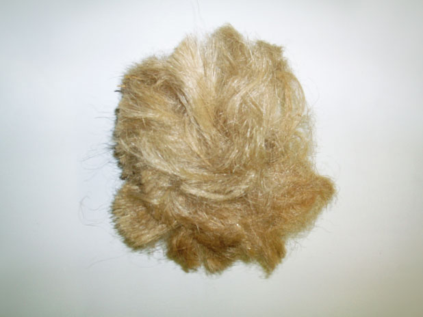 Zoè Gruni Scalp