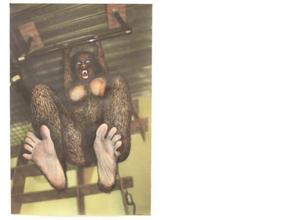 Zoè Gruni'Cryptid 3' 2011